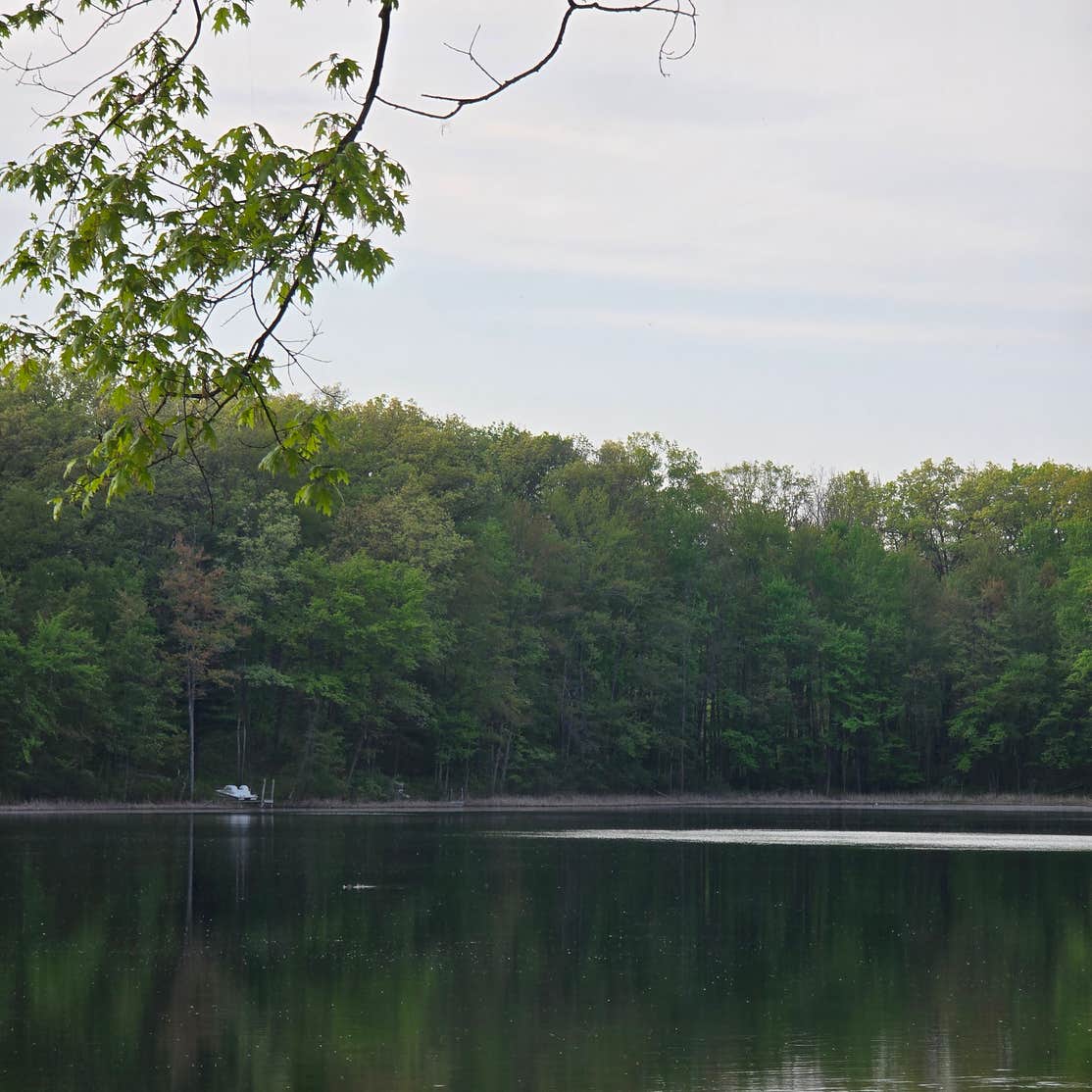 Sawkaw Lake Camping Bitely, MI