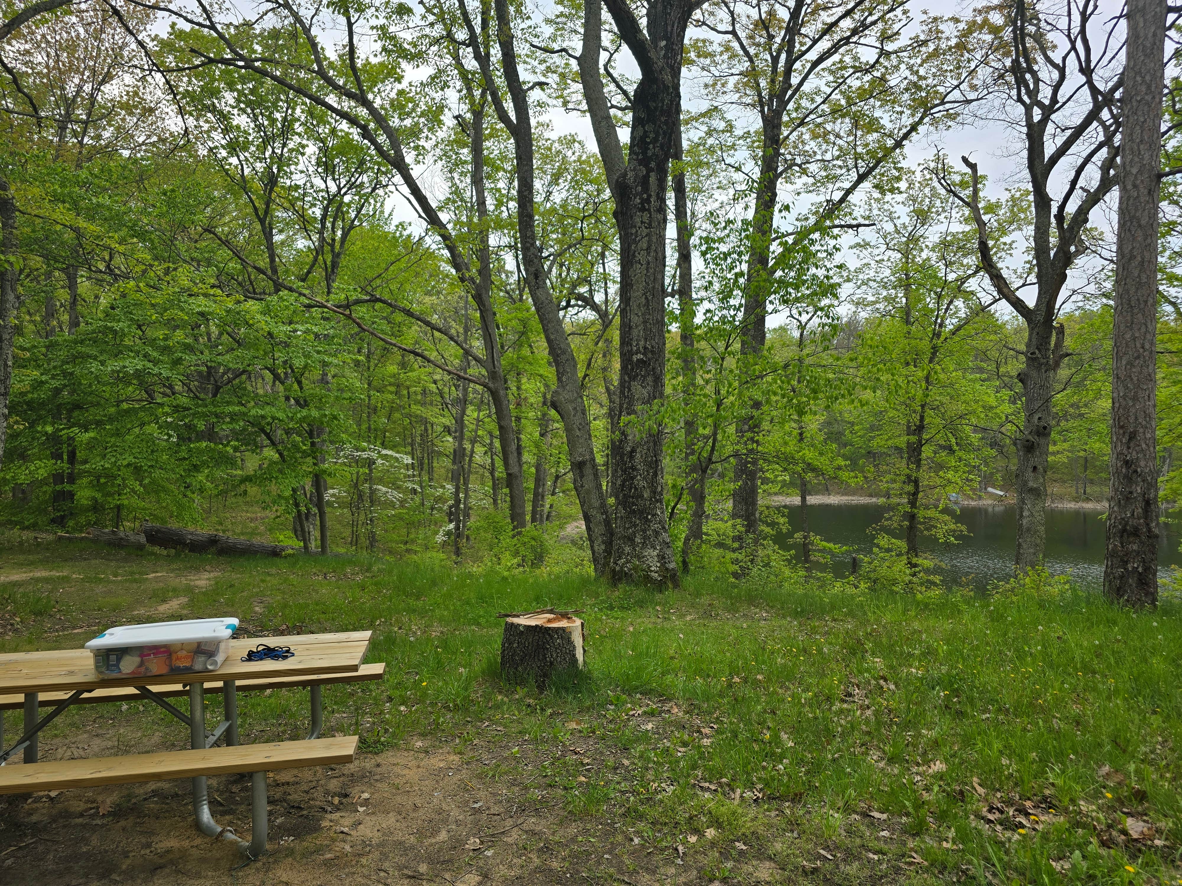 Camper-submitted photo at Sawkaw Lake near Ludington, MI