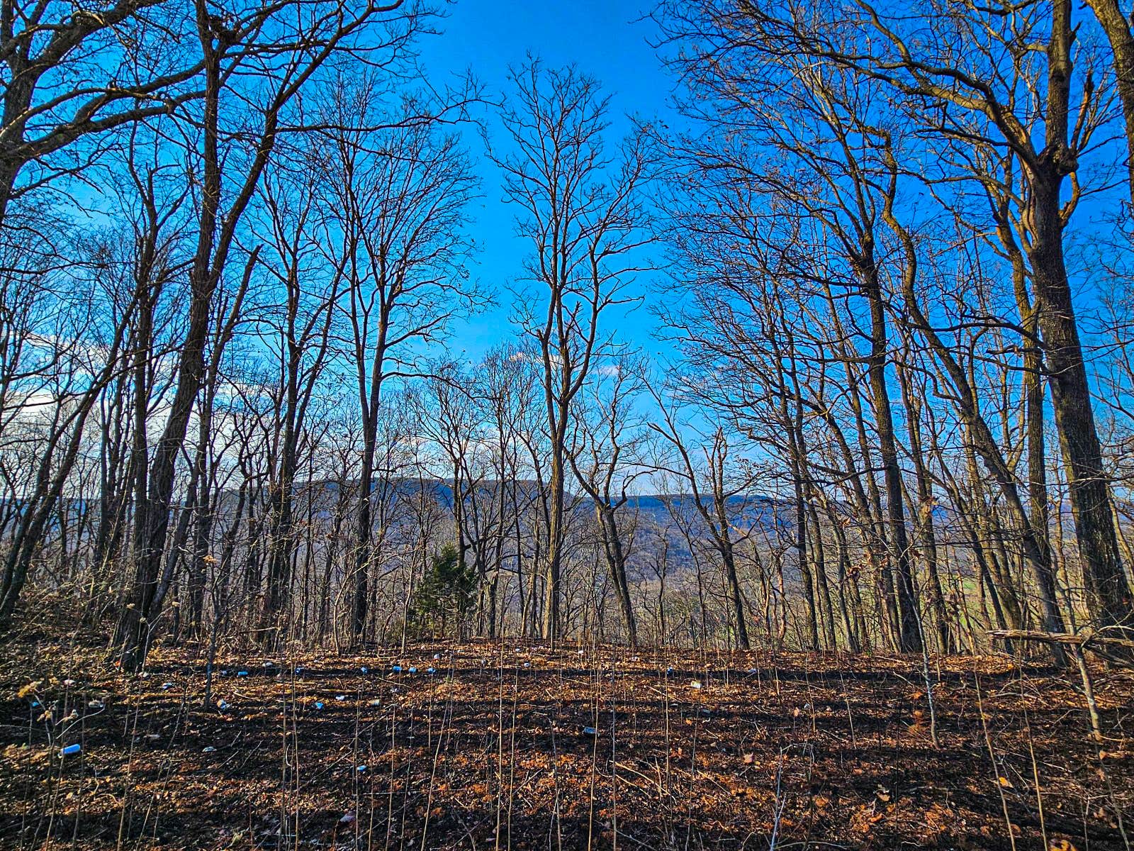 Camper-submitted photo at Sawmill Lake Campsite near Langston, AL