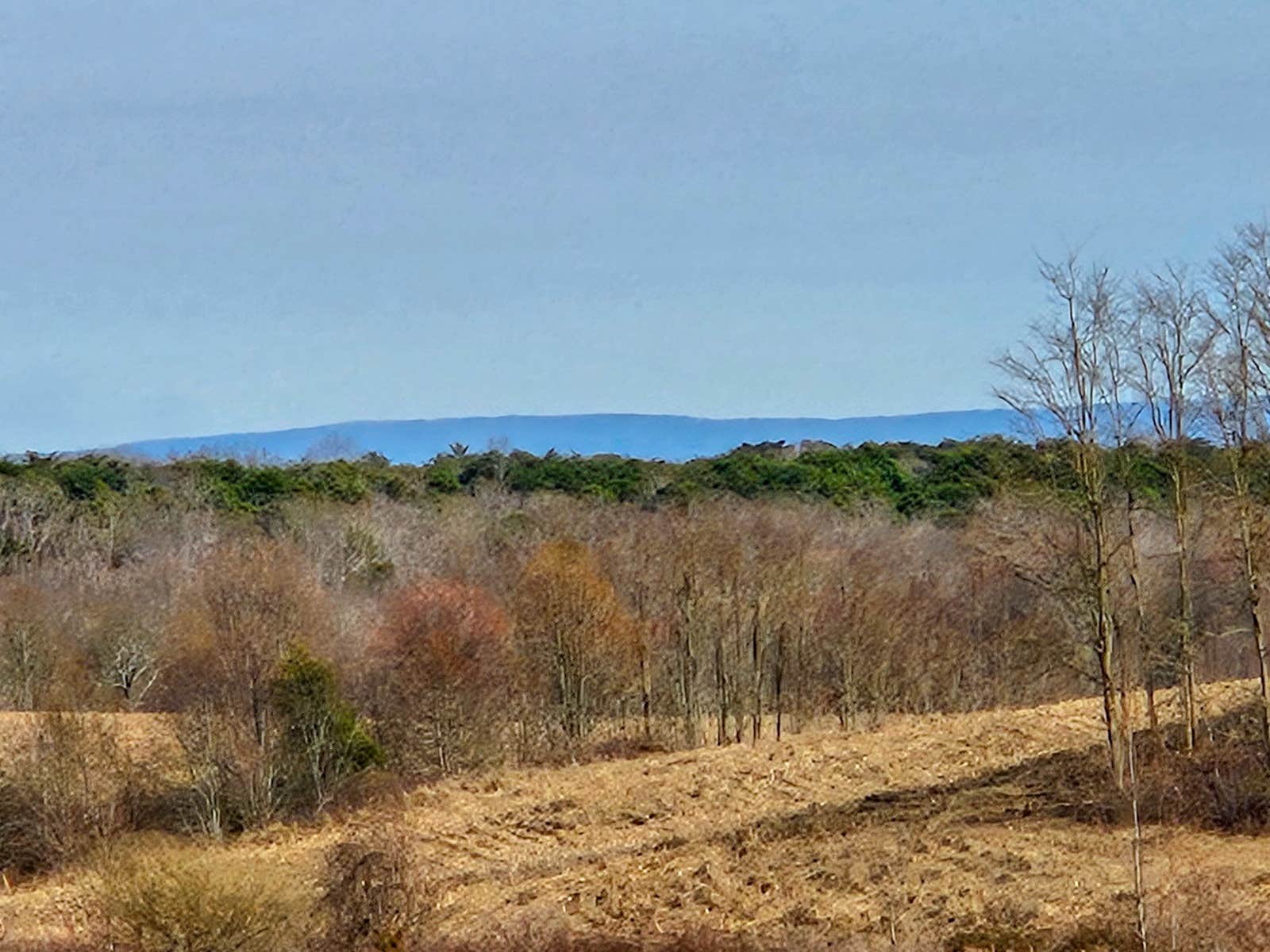 Camper-submitted photo at Sawmill Lake Campsite near Langston, AL