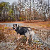 Review photo of Sawmill Lake Campsite by Sierra Y., March 3, 2024