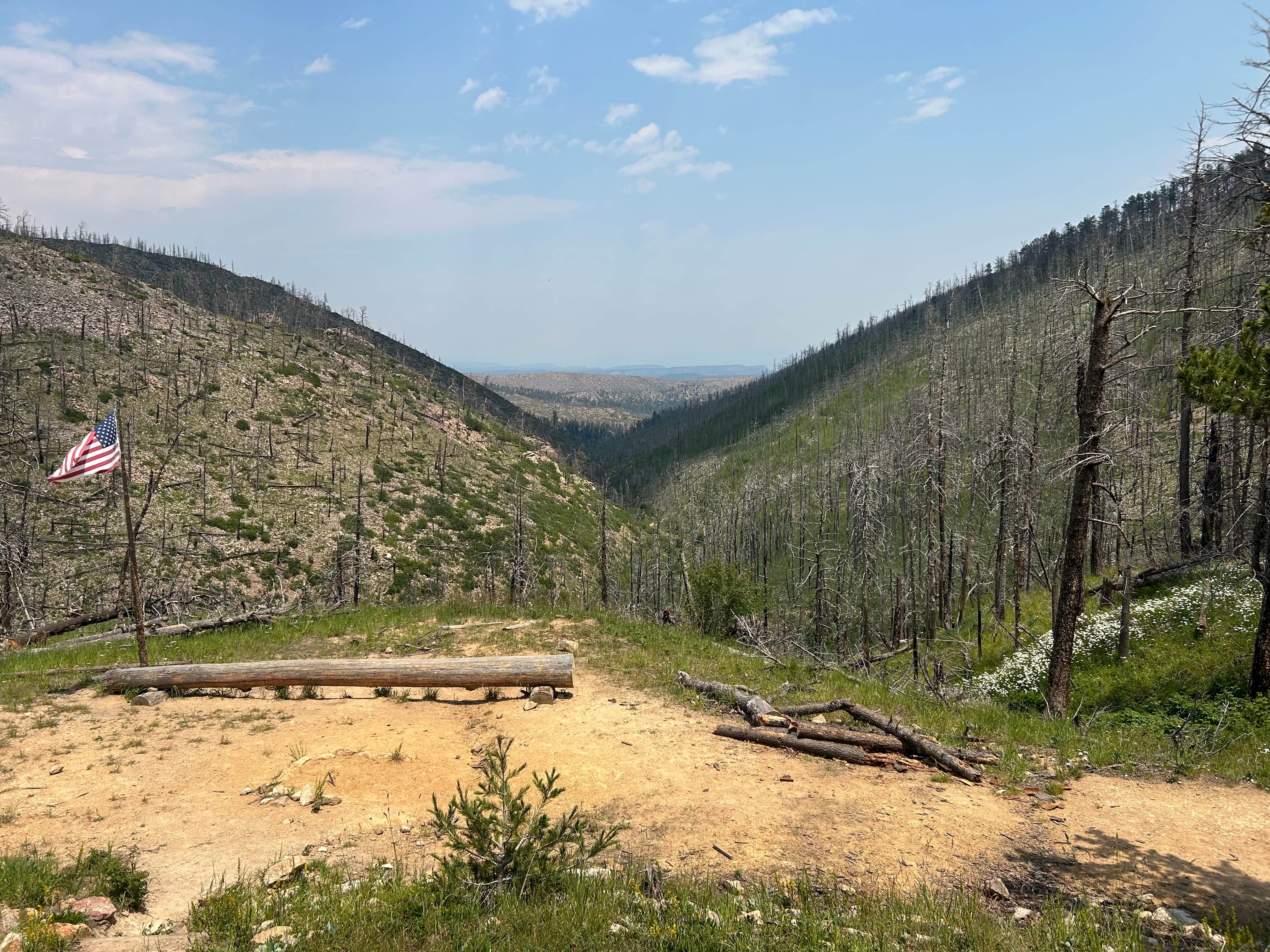 Camper-submitted photo at Sawmill near Ocate, NM