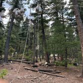 Review photo of Sawmill by Daniel E., January 30, 2026