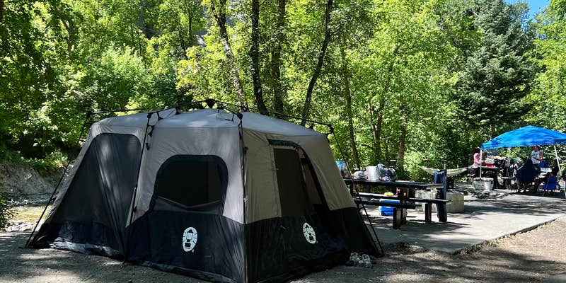 Camper submitted image from Sawmill Picnic