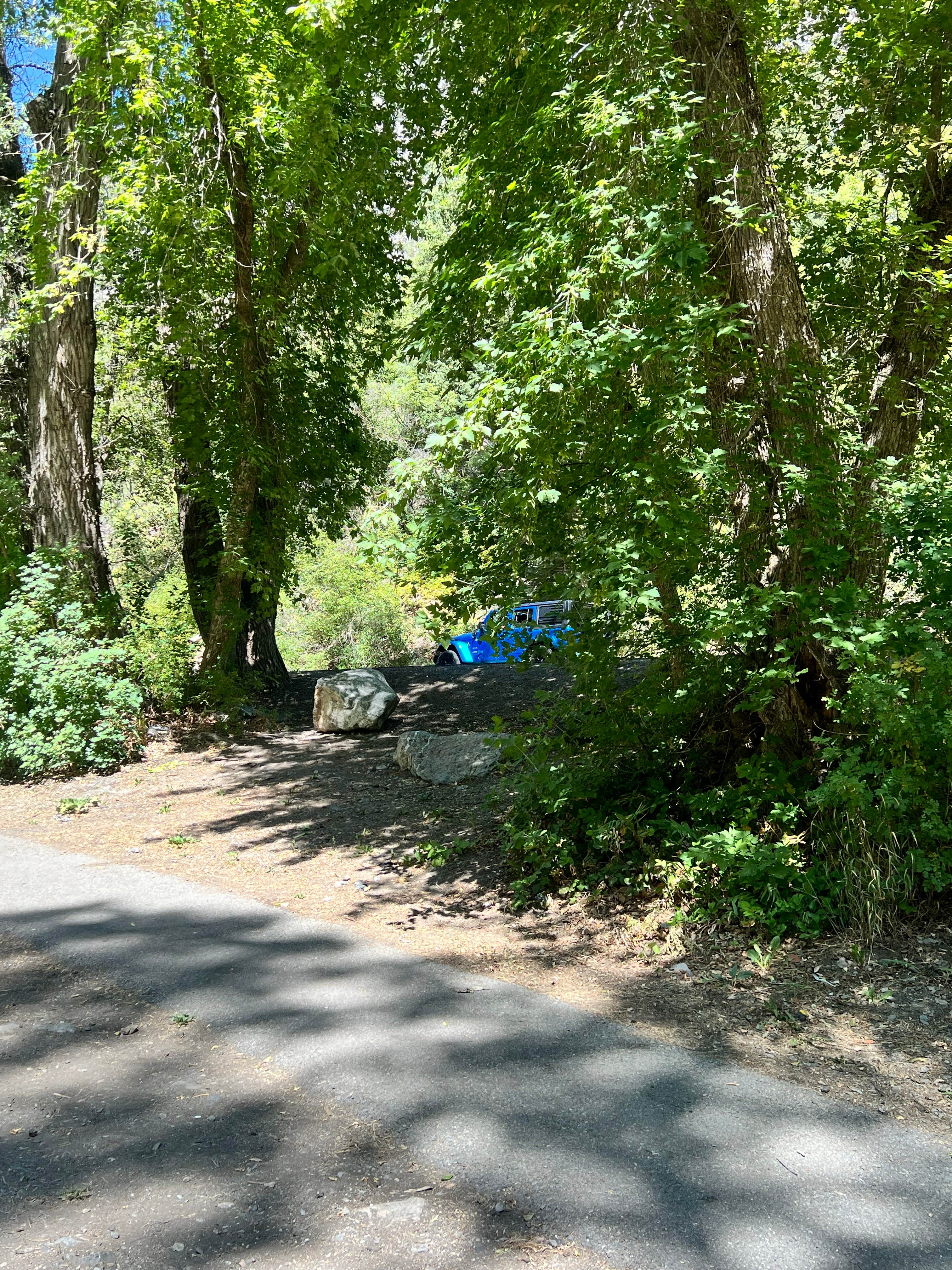 Camper submitted image from Sawmill Picnic - 5