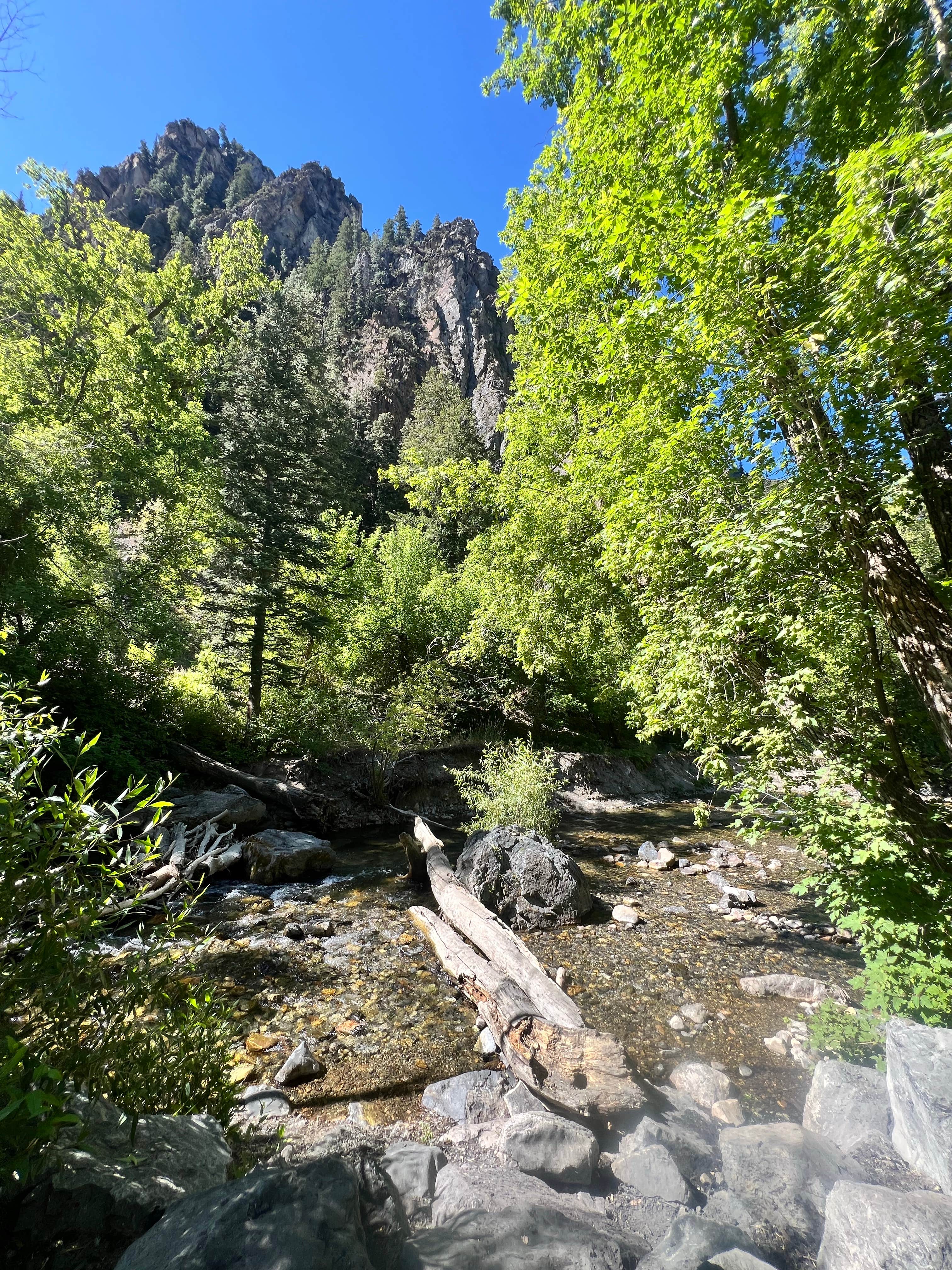 Camper-submitted photo at Sawmill Picnic near Midvale, UT
