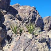 Review photo of Sawtooth Canyon Campground by Mike M., April 23, 2025
