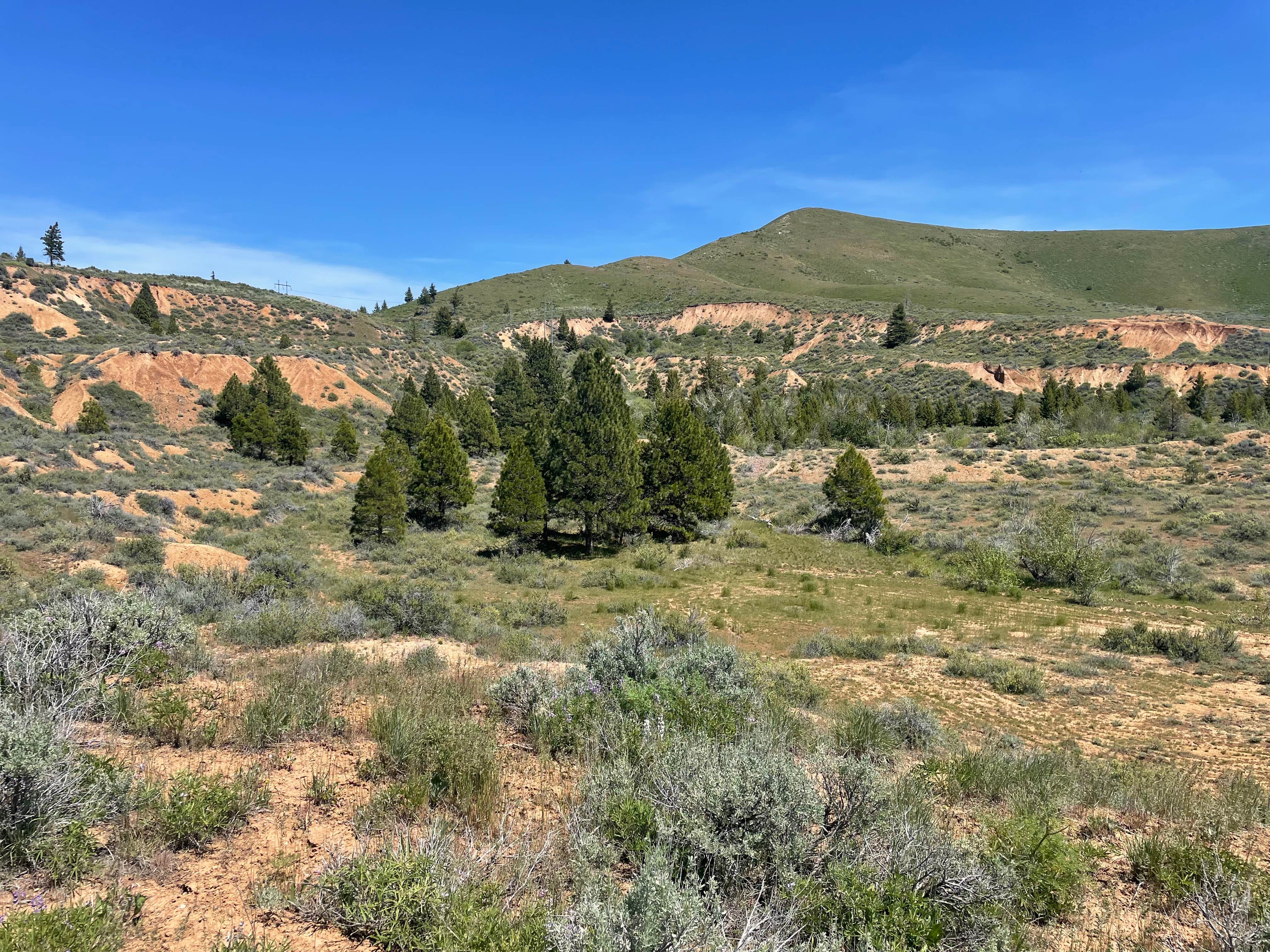 Camper-submitted photo at Sawtooth National Forest near Bliss, ID