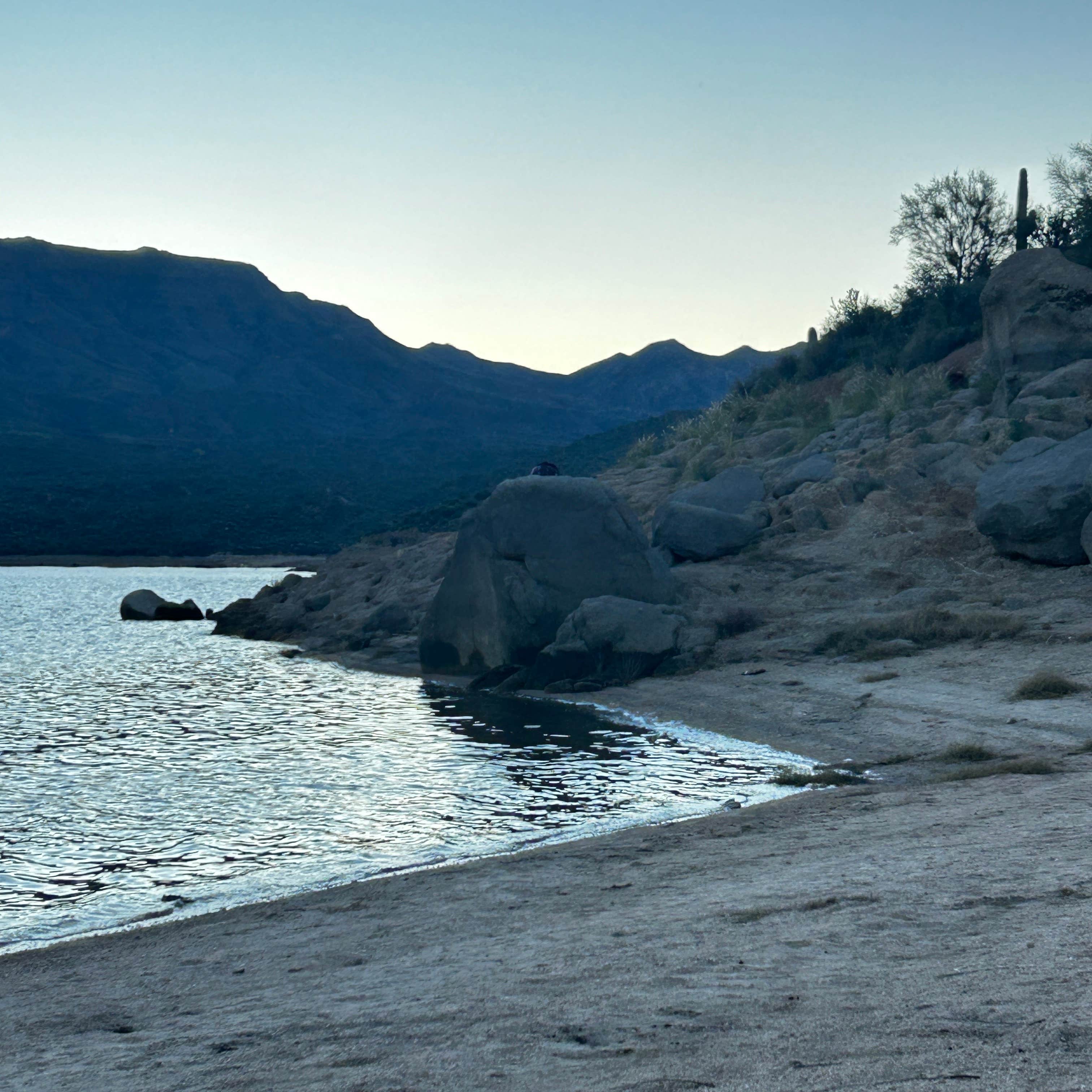 Camper-submitted photo at SB Cove Shoreline Area near Rio Verde, AZ