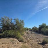 Review photo of Scaddan Wash BLM Dispersed Camping Area by John C., December 9, 2025