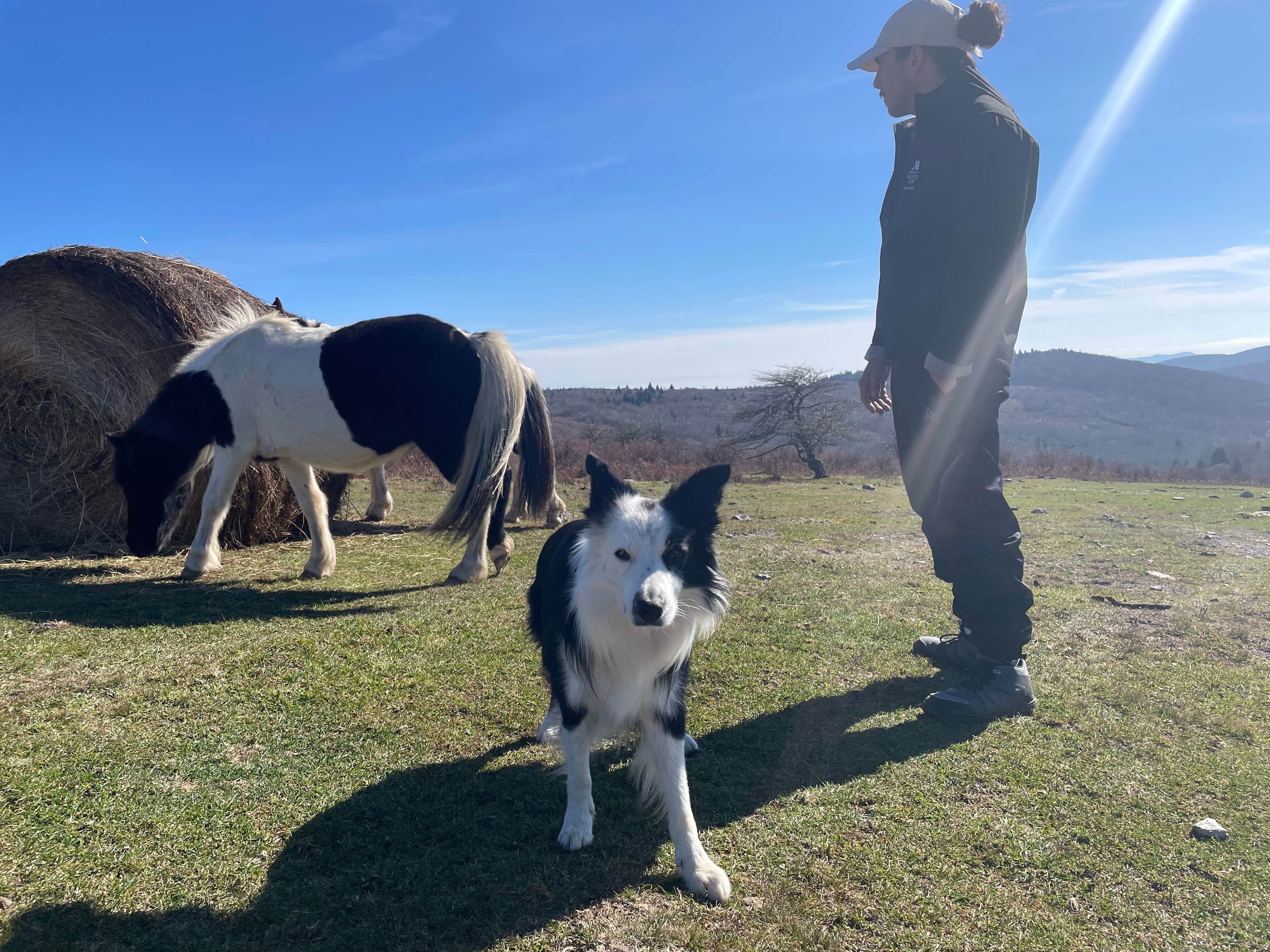 Camper-submitted photo at Scales Trailhead Basecamp near Hays, NC