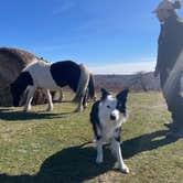 Review photo of Scales Trailhead Basecamp by Mateo M., November 5, 2024