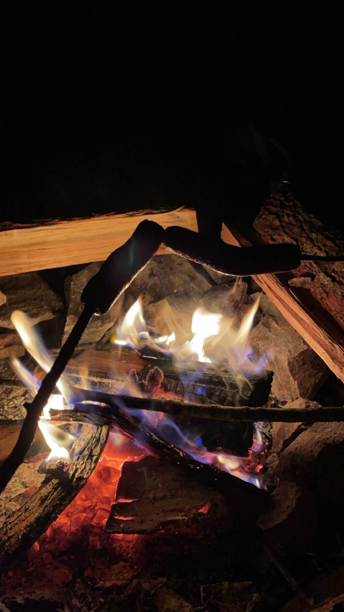 Camper-submitted photo at Scales Trailhead Basecamp near Hays, NC