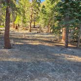 Review photo of Scenic Loop Dispersed Camping - Eastside by Red , August 1, 2026