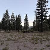 Review photo of Scenic Loop Dispersed Camping - Eastside by Ashlyn H., September 14, 2026