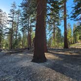 Review photo of Scenic Loop Dispersed Camping - Eastside by Red , August 1, 2026