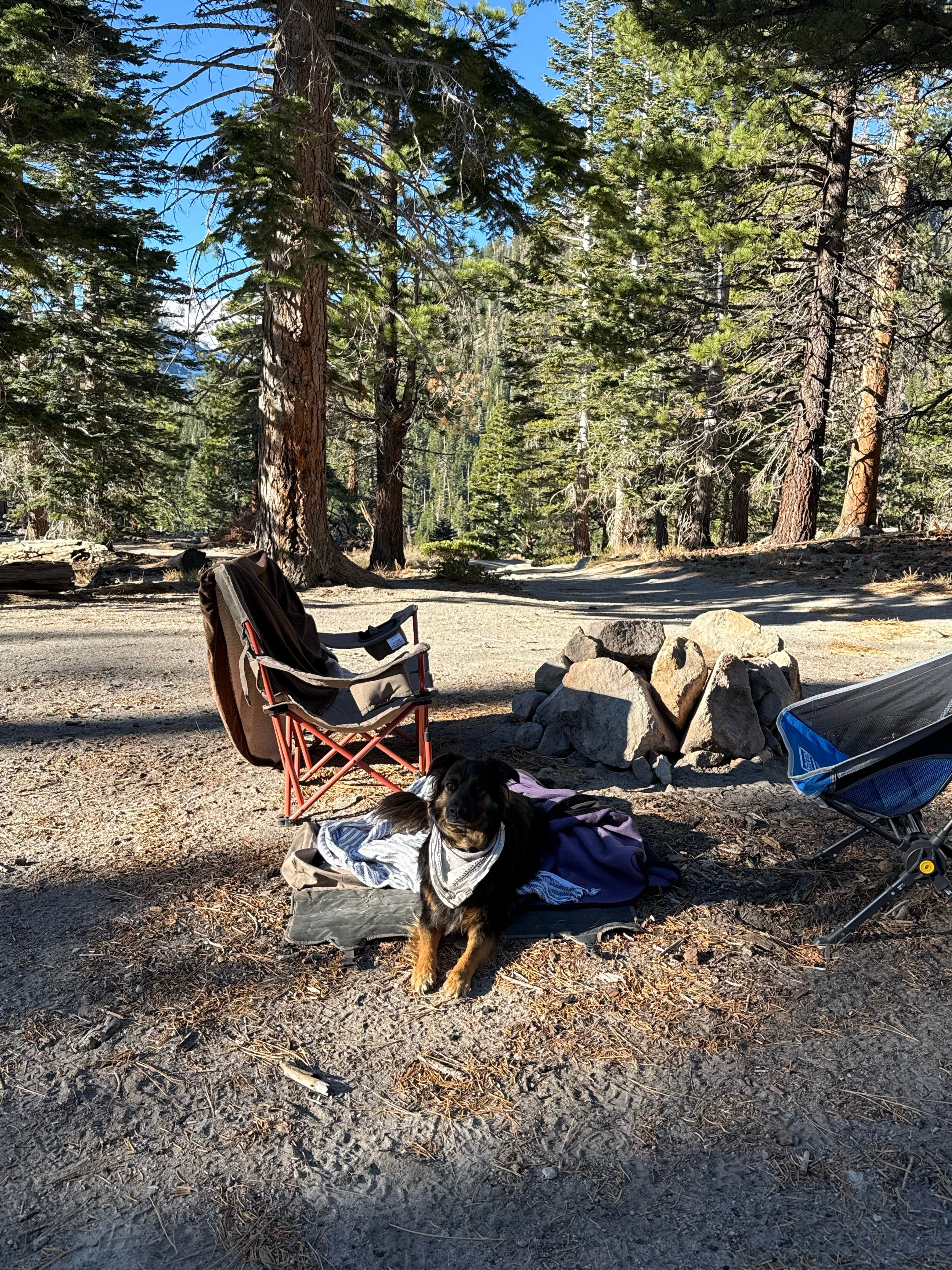 Anna R.'s photo of a dispersed camping area at Scenic Loop Dispersed Camping - Eastside near Lee Vining, CA
