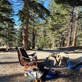 Review photo of Scenic Loop Dispersed Camping - Eastside by Anna R., October 30, 2025