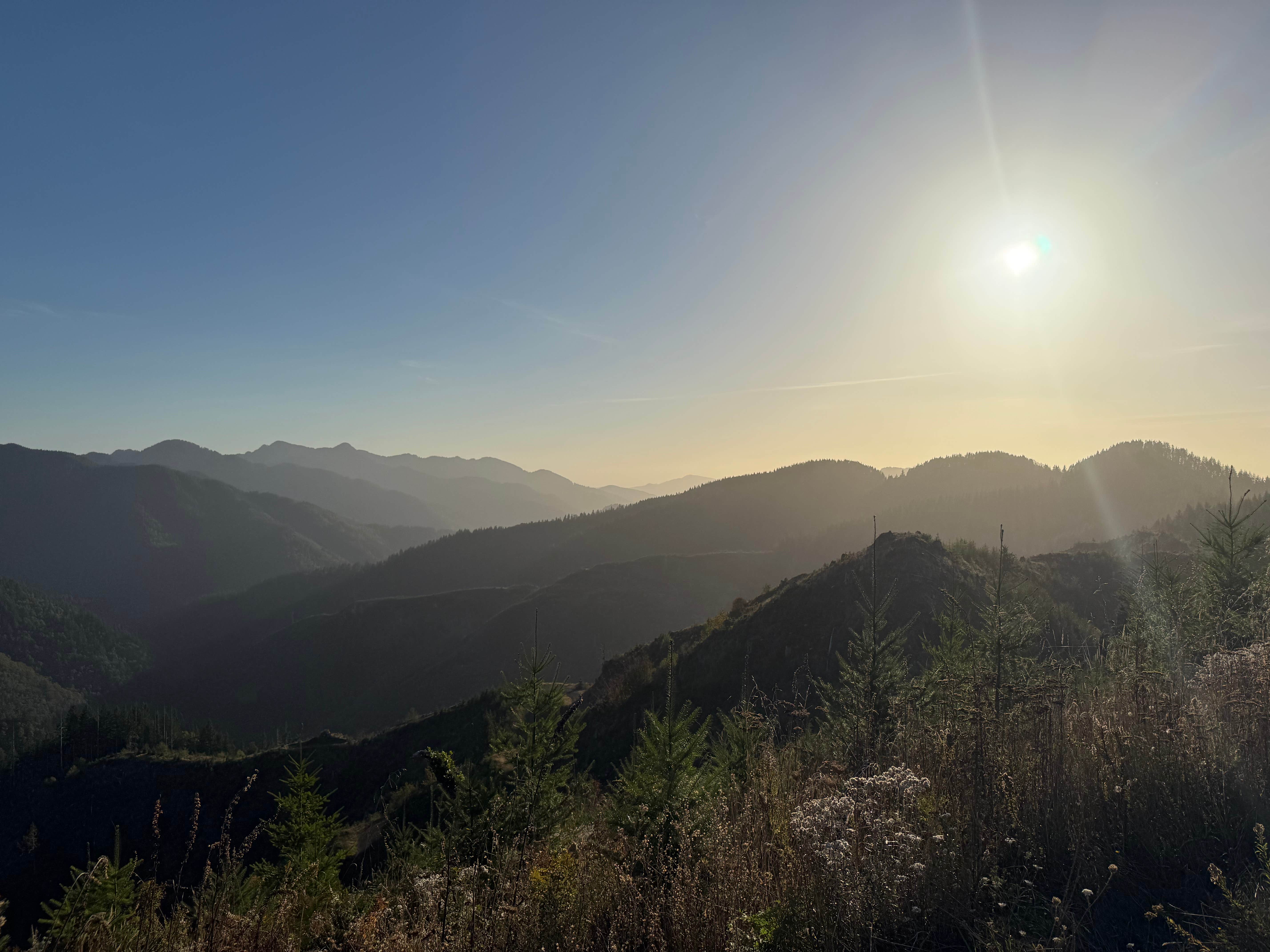 Robert S.'s photo of a dispersed camping area at Scenic Overlook Dispersed Camp near Foley Creek near Hillsboro, OR