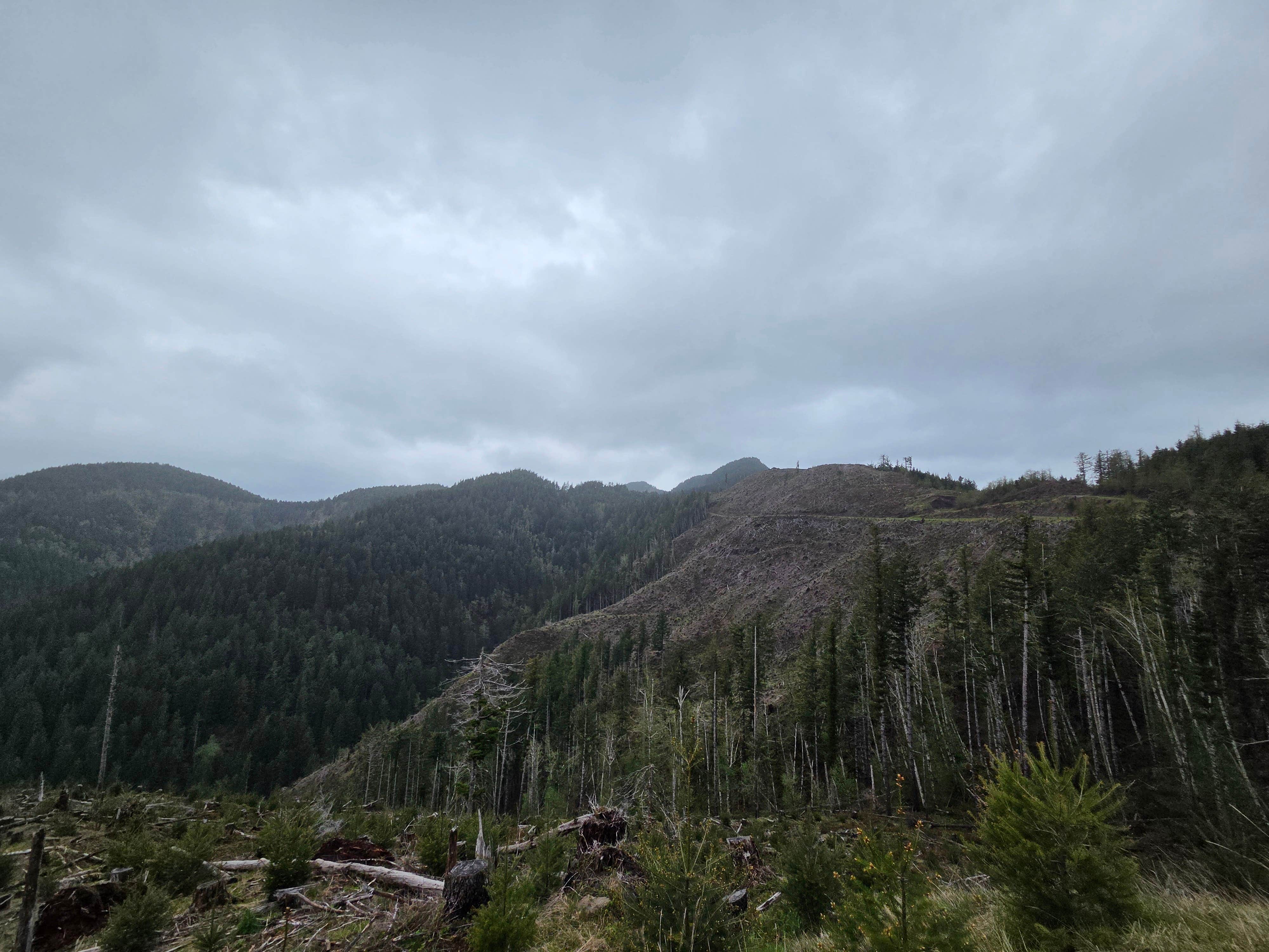 Camper-submitted photo at Scenic Overlook Dispersed Camp near Foley Creek near Gaston, OR
