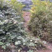 Review photo of Scenic Overlook Dispersed Camp near Foley Creek by Juliana J., October 23, 2026
