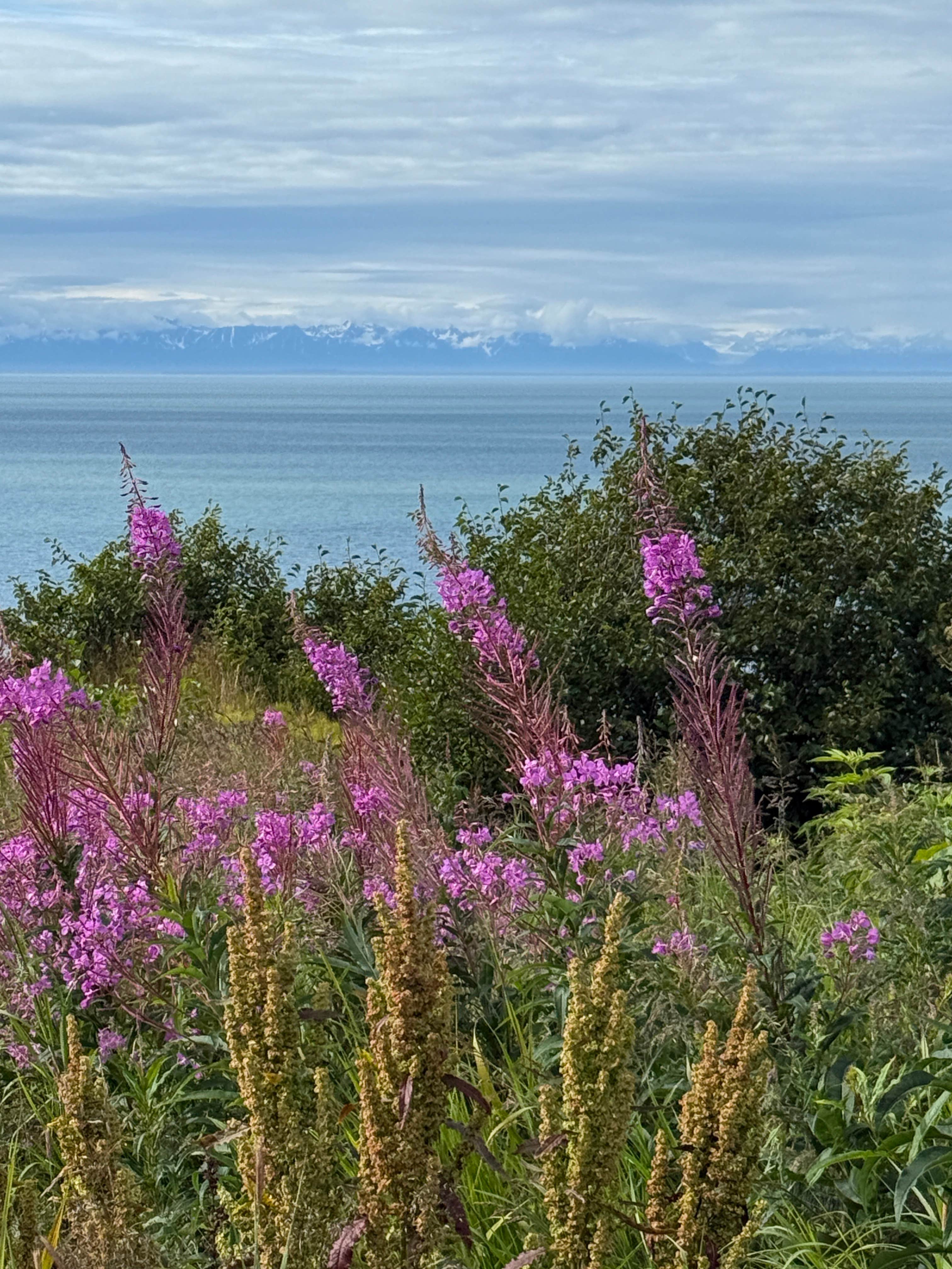Camper-submitted photo at Scenic View RV Park near Ninilchik, AK
