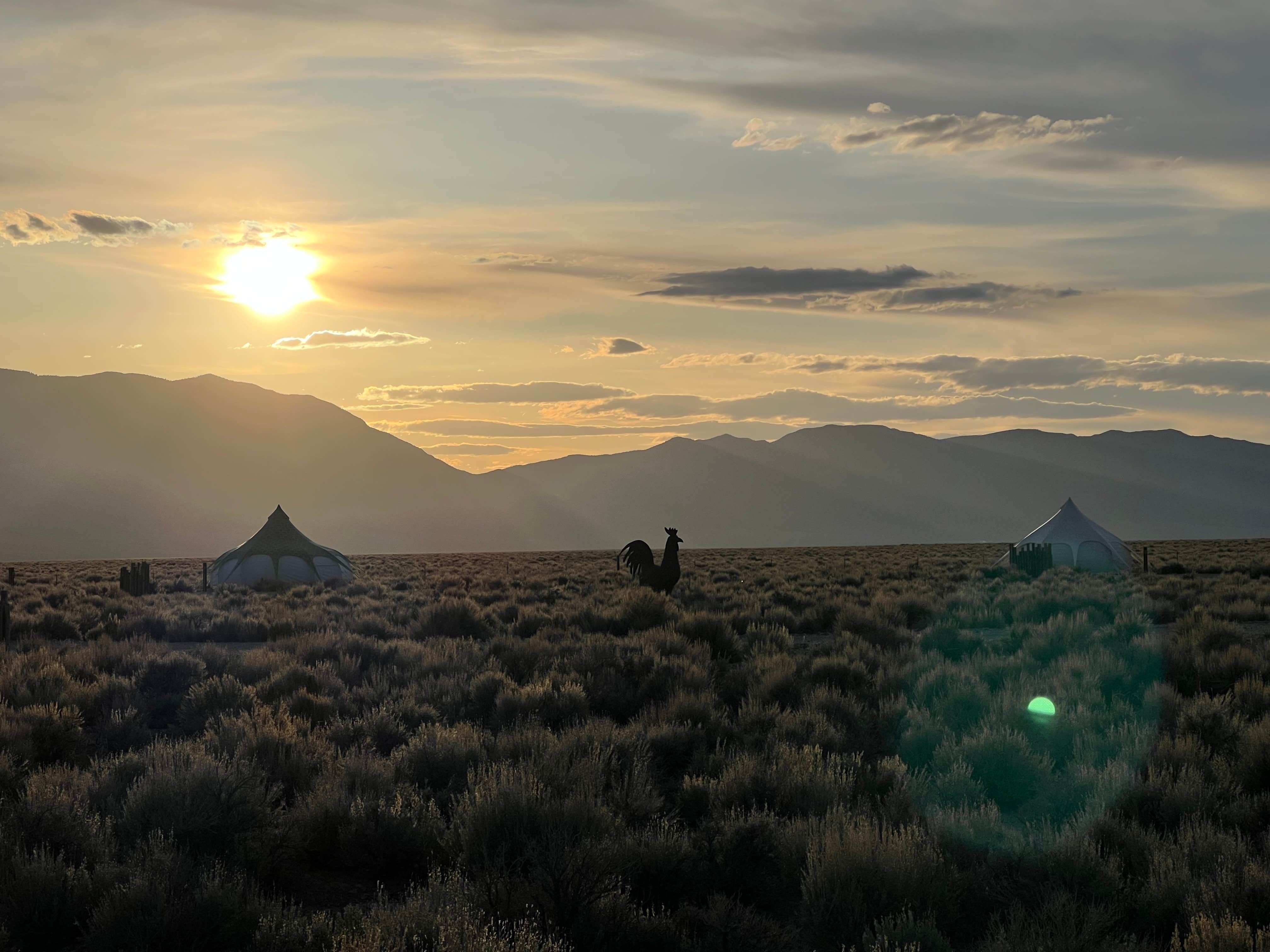 Skyler M.'s photo at Schellraiser near Lund, NV