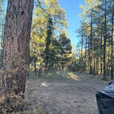 Review photo of Schnebly Hill Rd, Fox Borough Dam by Brenda H., November 2, 2025