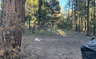 Brenda H.'s photo at Schnebly Hill Rd, Fox Borough Dam near Munds Park, AZ