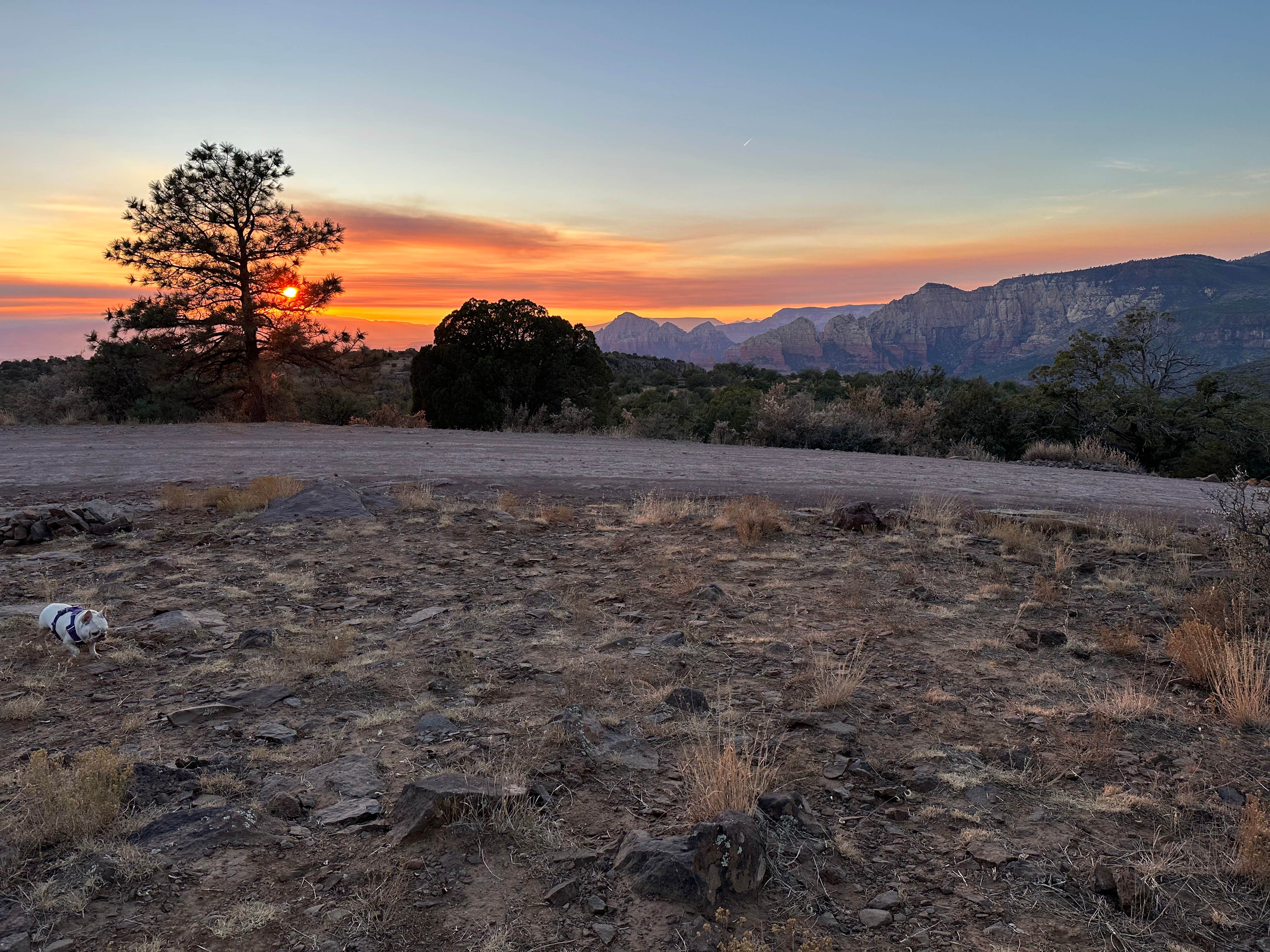Kathleen W.'s photo of a dispersed camping area at Schnebly Hill Rd, Fox Borough Dam near Happy Jack, AZ