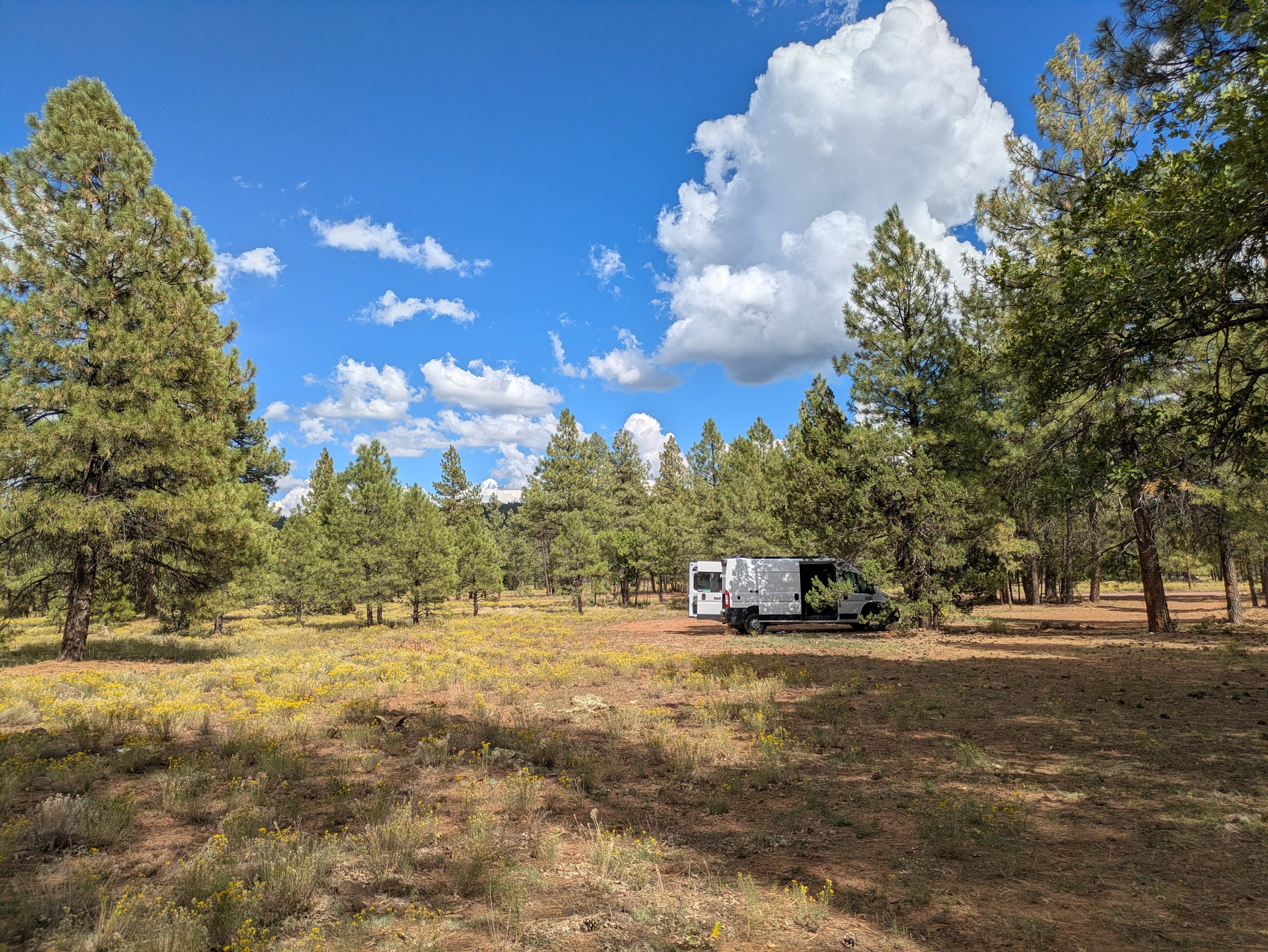 Haley S.'s photo of a dispersed camping area at Schnebly Hill Rd, Fox Borough Dam near Coconino National Forest Recreation