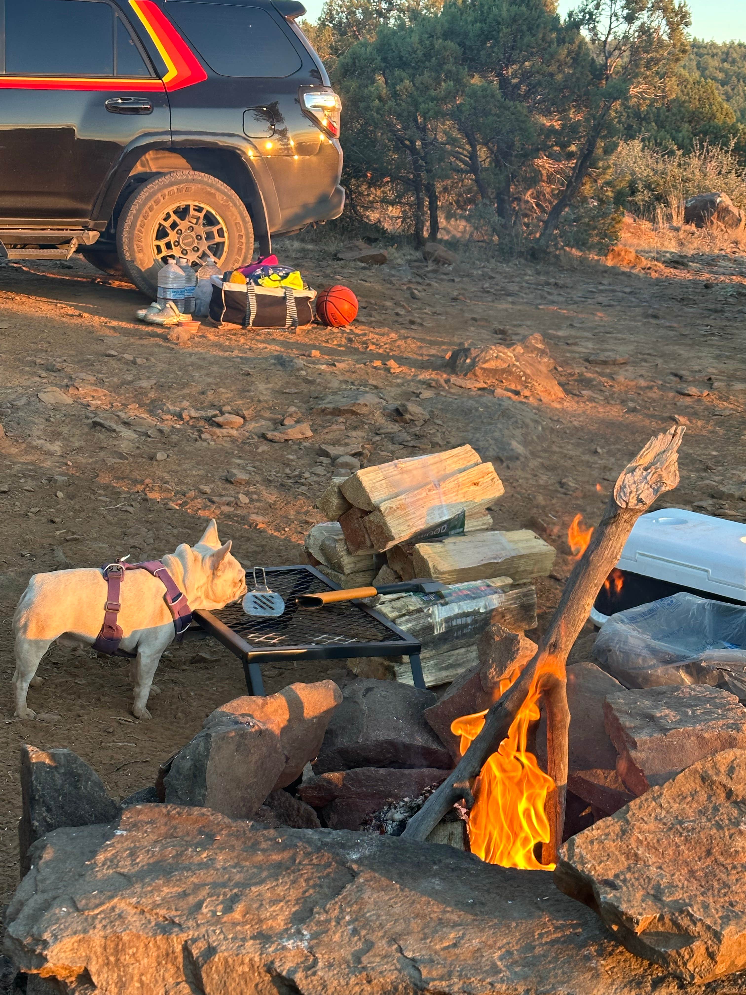 Camper-submitted photo at Schnebly Hill Rd, Fox Borough Dam near Mormon Lake, AZ