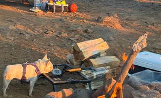 Kathleen W.'s photo of camping with pets at Schnebly Hill Rd, Fox Borough Dam near Coconino National Forest Recreation