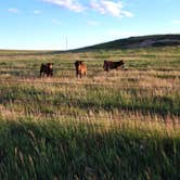 Review photo of BLM Schnell Recreation Area by Jennifer F., June 24, 2026