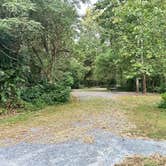 Review photo of Schodack Island State Park Campground by Eleanor the Airstream R., September 16, 2024