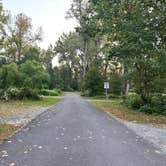 Review photo of Schodack Island State Park Campground by Eleanor the Airstream R., September 16, 2024