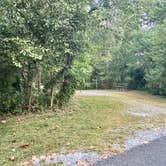 Review photo of Schodack Island State Park Campground by Eleanor the Airstream R., September 16, 2024