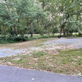 Review photo of Schodack Island State Park Campground by Eleanor the Airstream R., September 16, 2024