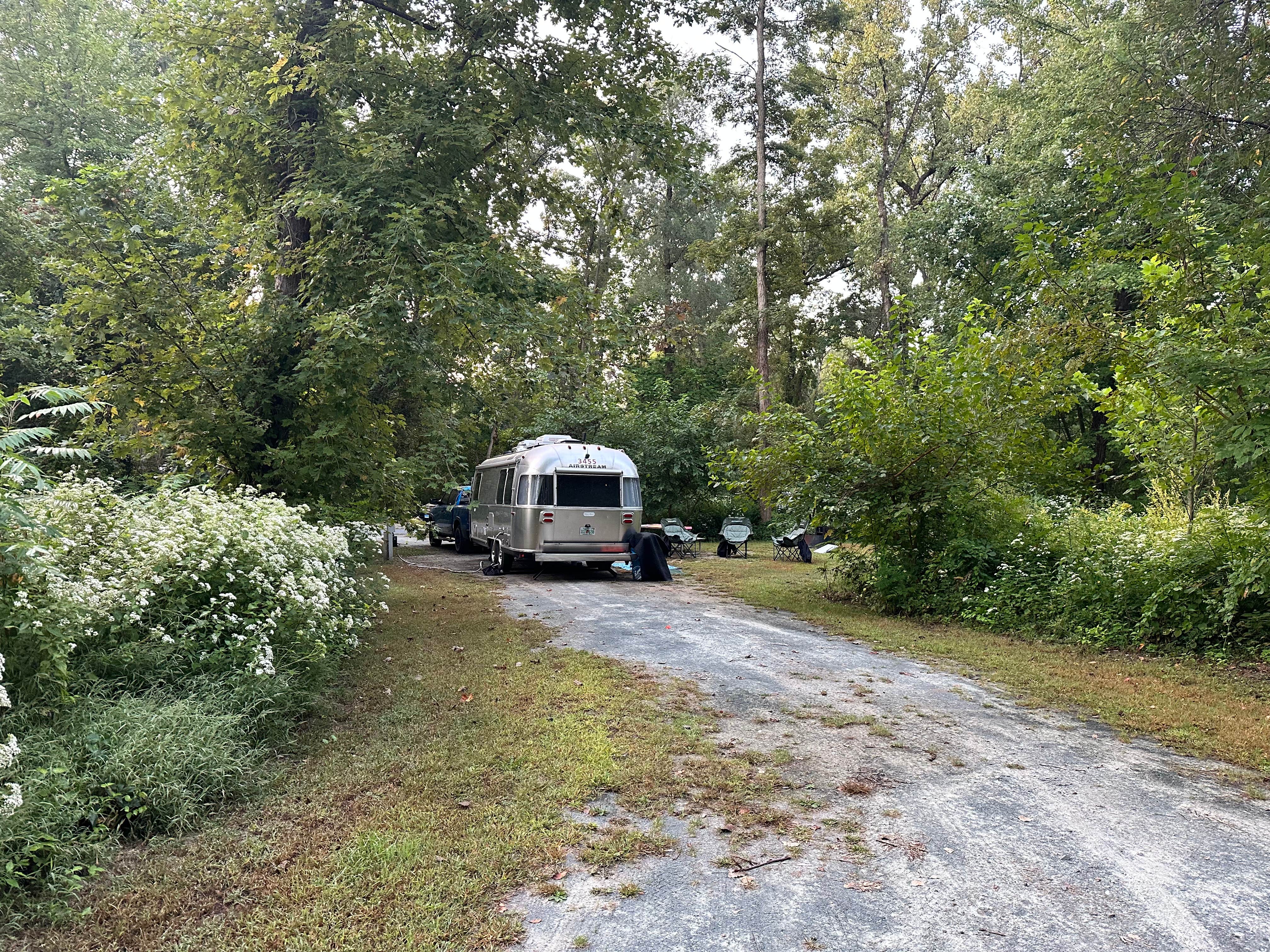Eleanor the Airstream R.'s photo of rv camping at Schodack Island State Park Campground near Hunter, NY