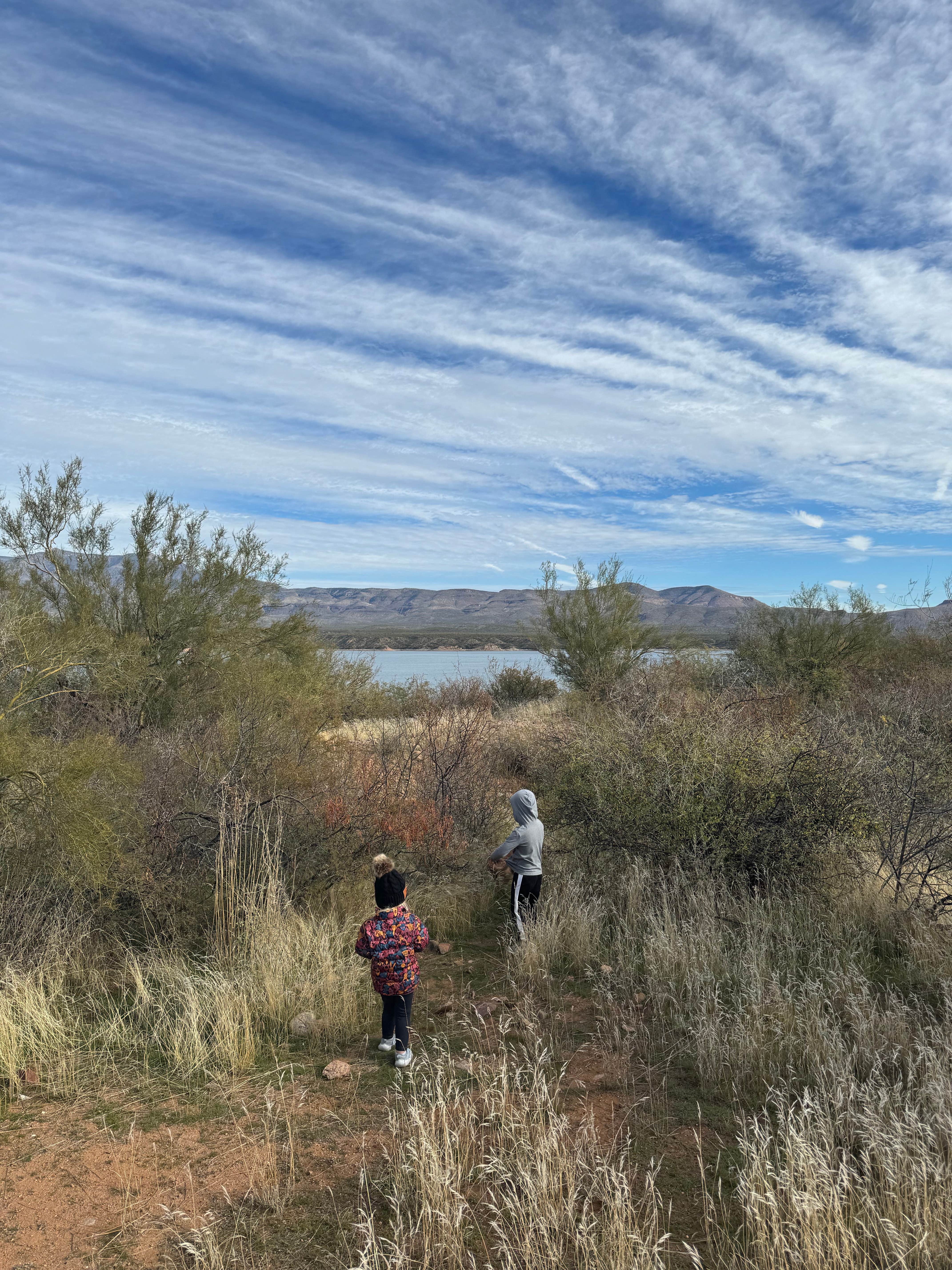 Camper submitted image from Roosevelt Lake - Schoolhouse Campground - 4