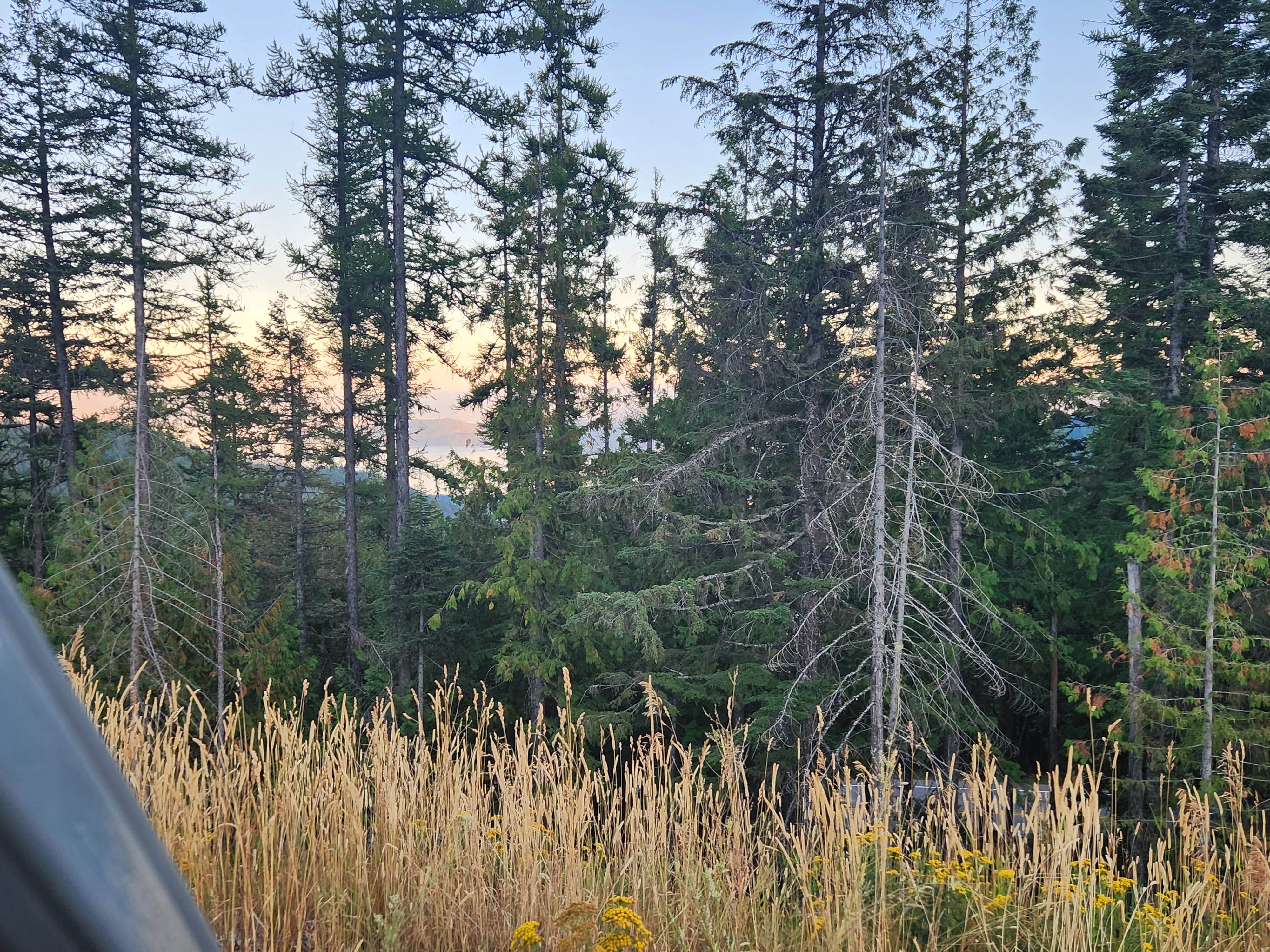Camping near Clark Fork River Driftyard: Schweitzer Mountain Fire Station, Ponderay, Idaho
