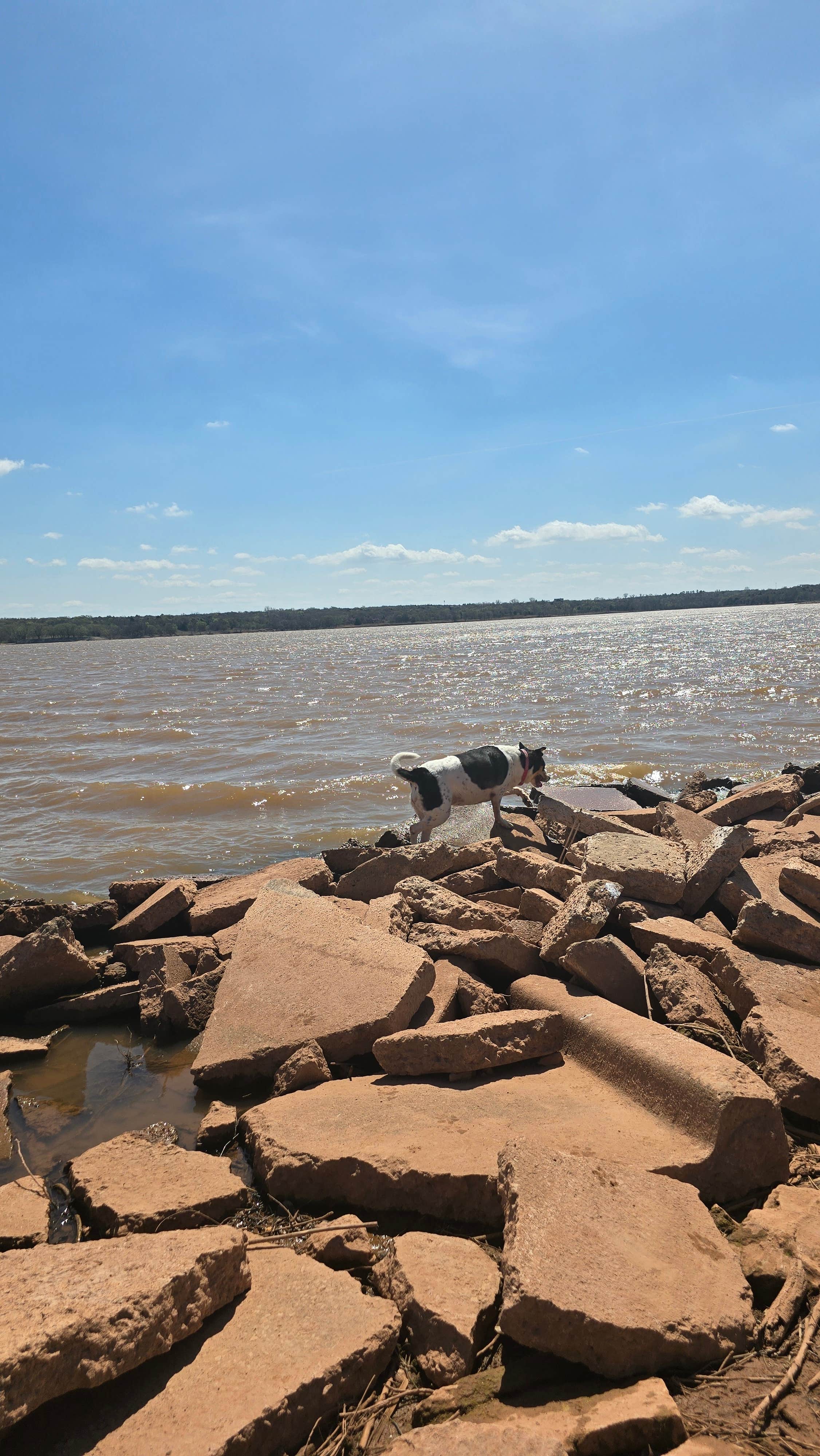 Camper submitted image from Scissortail Campground - 4