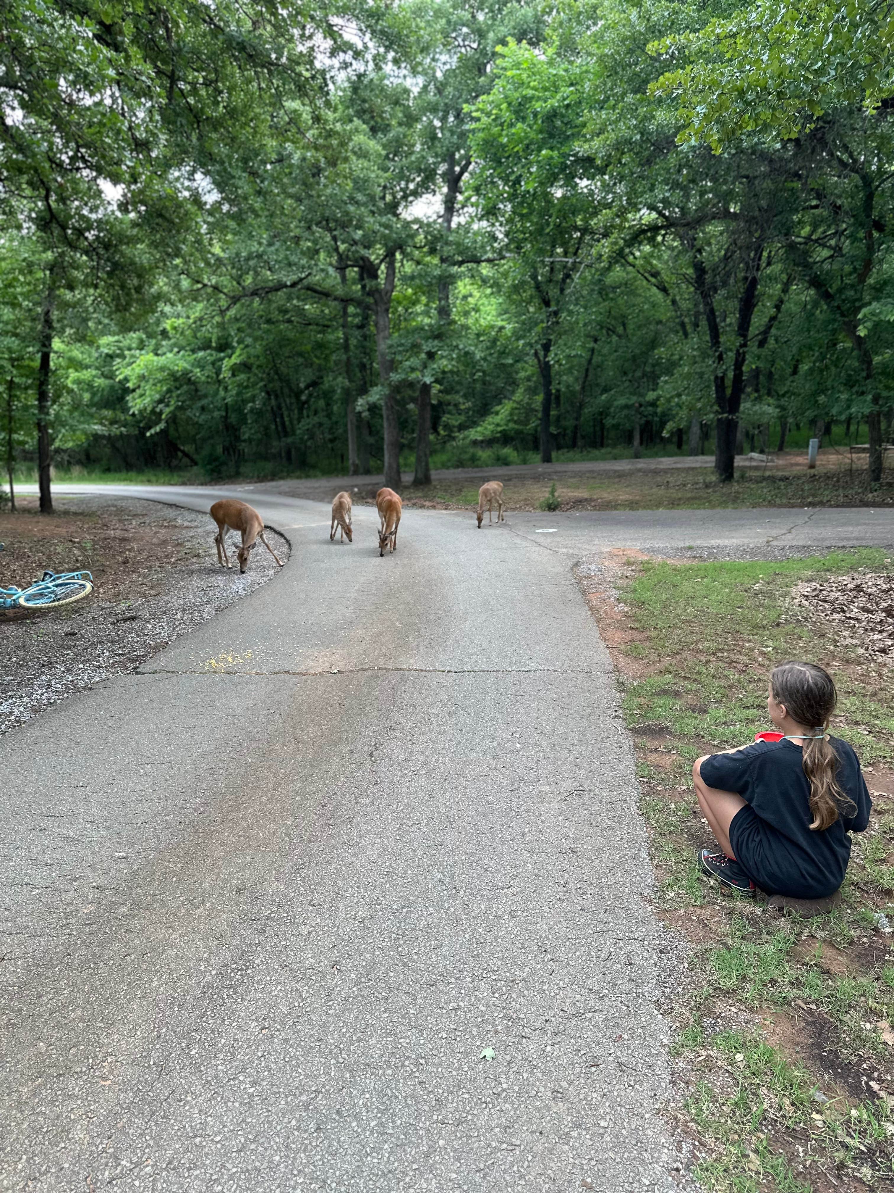 Camper-submitted photo at Scissortail Campground near Oklahoma City, OK