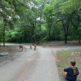 Review photo of Scissortail Campground by Rachael V., June 23, 2025