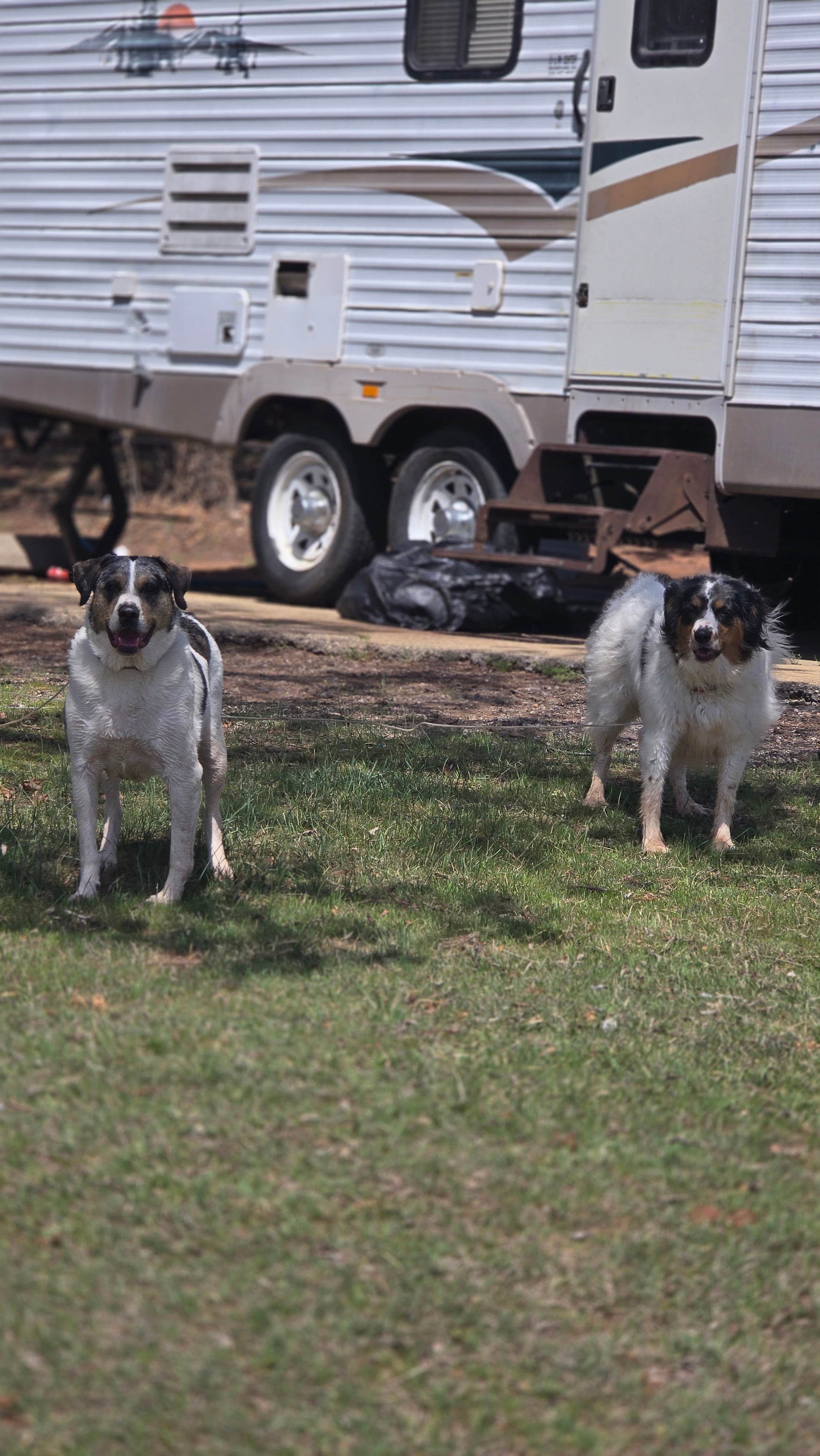 Camper-submitted photo at Scissortail Campground near Oklahoma City, OK
