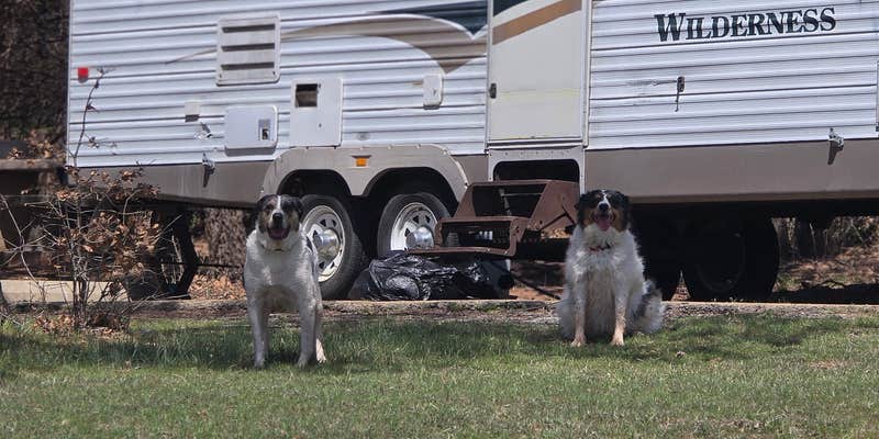 Camper submitted image from Scissortail Campground