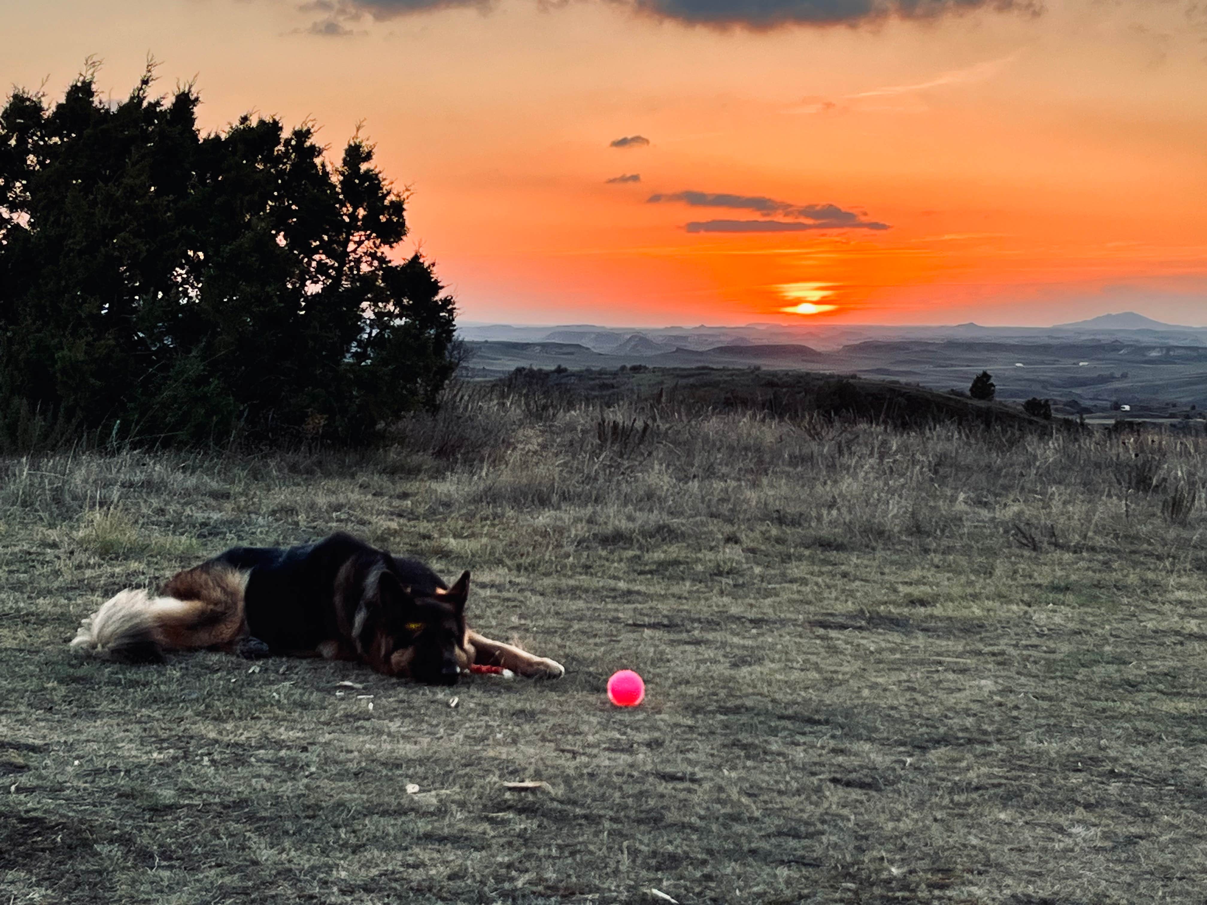 Eric A.'s photo of camping with pets at Dispersed Site - Grassland Boondocking near Fairfield, ND
