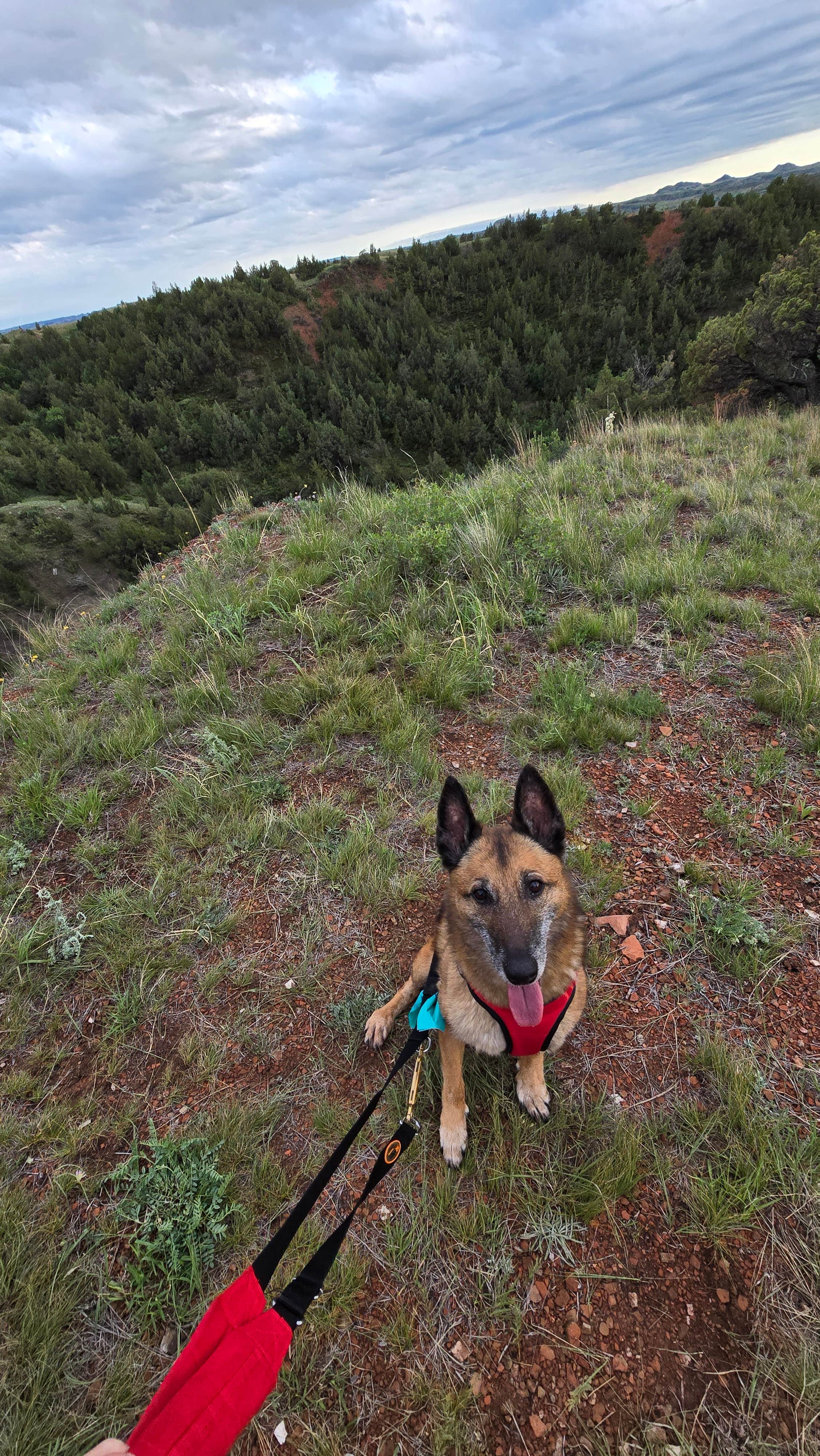 Kathy S.'s photo of camping with pets at Dispersed Site - Grassland Boondocking near Grassy Butte, ND