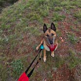 Review photo of Dispersed Site - Grassland Boondocking by Kathy S., June 26, 2025