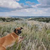 Review photo of Dispersed Site - Grassland Boondocking by Ellery K., July 24, 2024